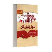 سیل بنیان کَن